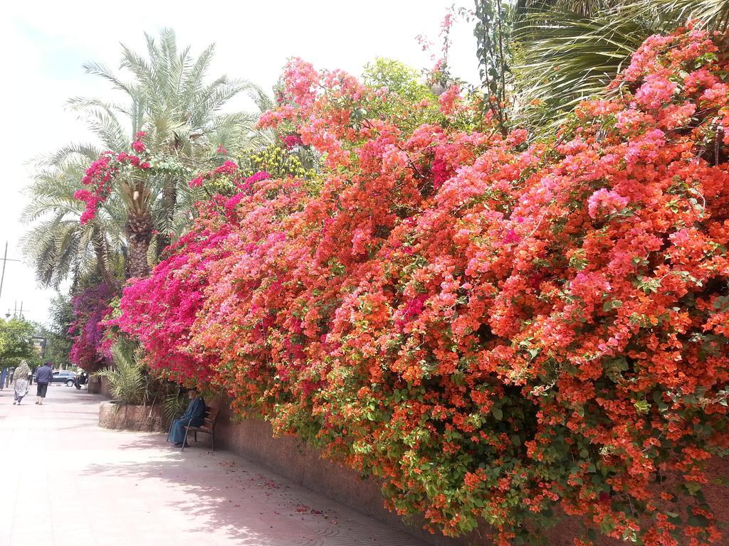 Riad Des Etoiles Marrakesh Eksteriør bilde